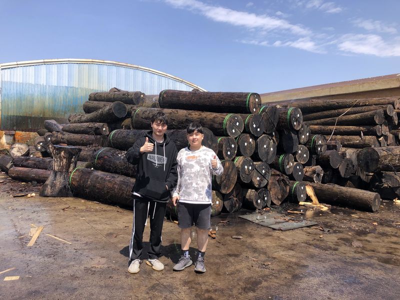 Dongguan Lingfeng Wood Industry Co., Ltd. linia produkcyjna producenta