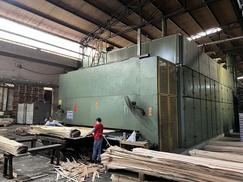 Dongguan Lingfeng Wood Industry Co., Ltd. linia produkcyjna producenta