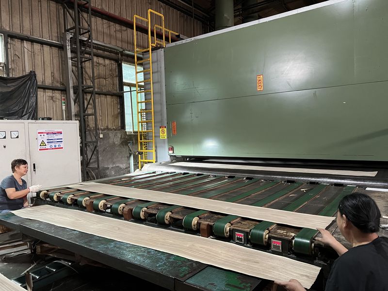 Dongguan Lingfeng Wood Industry Co., Ltd. linia produkcyjna producenta