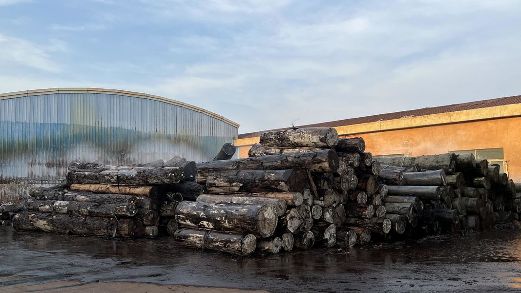 Dongguan Lingfeng Wood Industry Co., Ltd. linia produkcyjna producenta