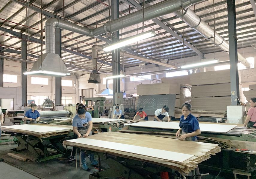 Dongguan Lingfeng Wood Industry Co., Ltd. linia produkcyjna producenta