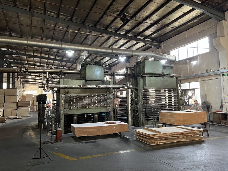 Dongguan Lingfeng Wood Industry Co., Ltd. linia produkcyjna producenta