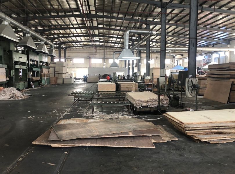 Dongguan Lingfeng Wood Industry Co., Ltd. linia produkcyjna producenta
