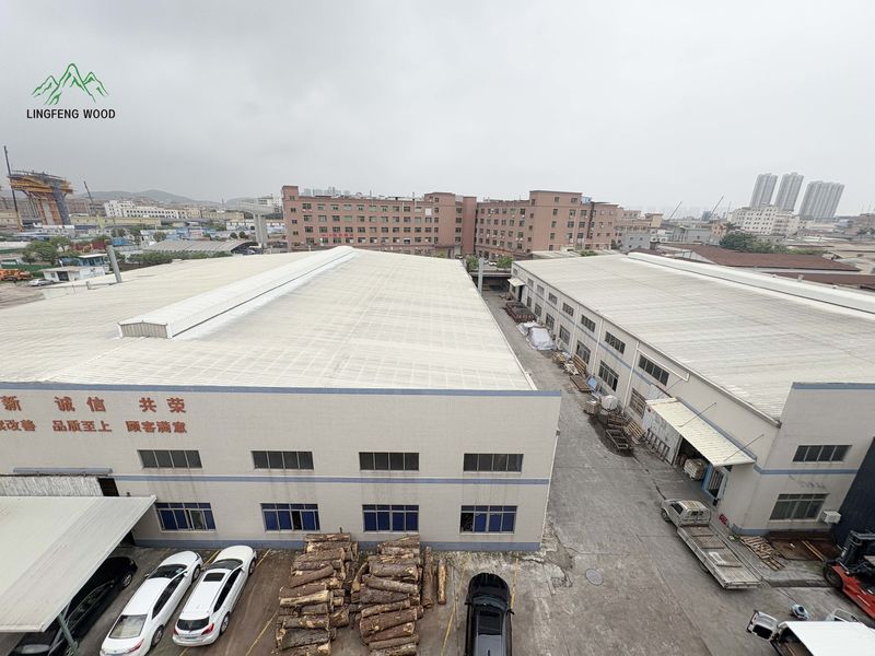 Chiny Dongguan Lingfeng Wood Industry Co., Ltd. Profil firmy 