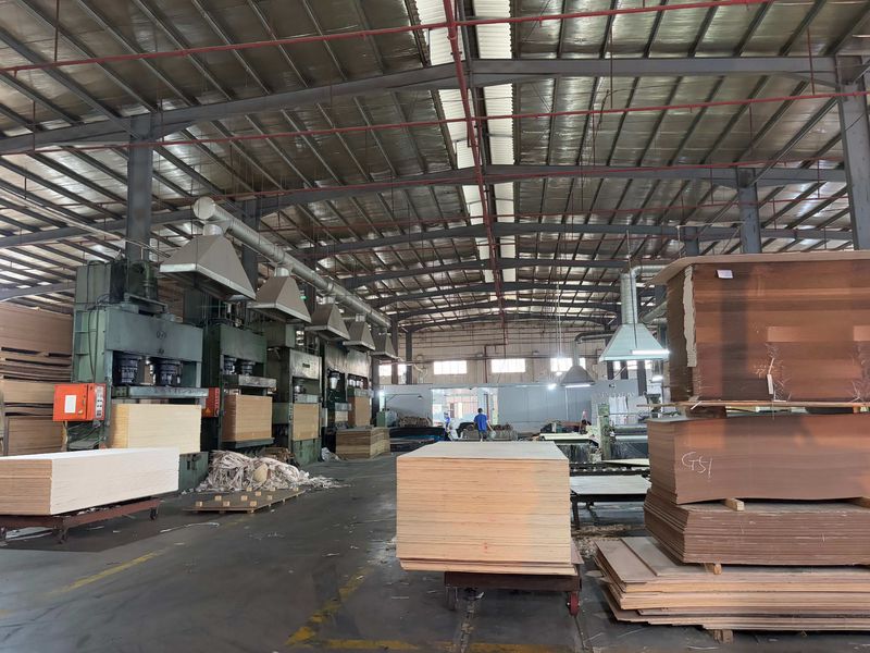 Dongguan Lingfeng Wood Industry Co., Ltd. linia produkcyjna producenta