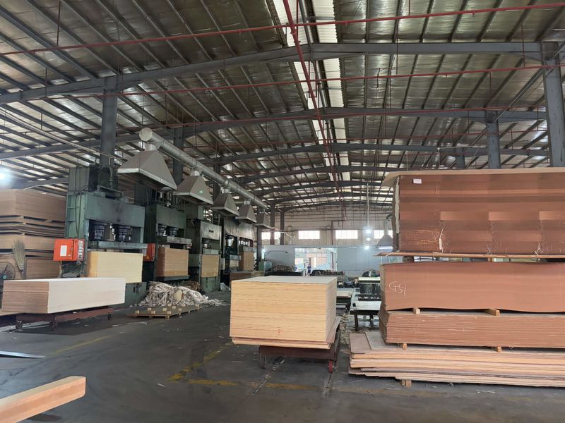 Dongguan Lingfeng Wood Industry Co., Ltd. linia produkcyjna producenta