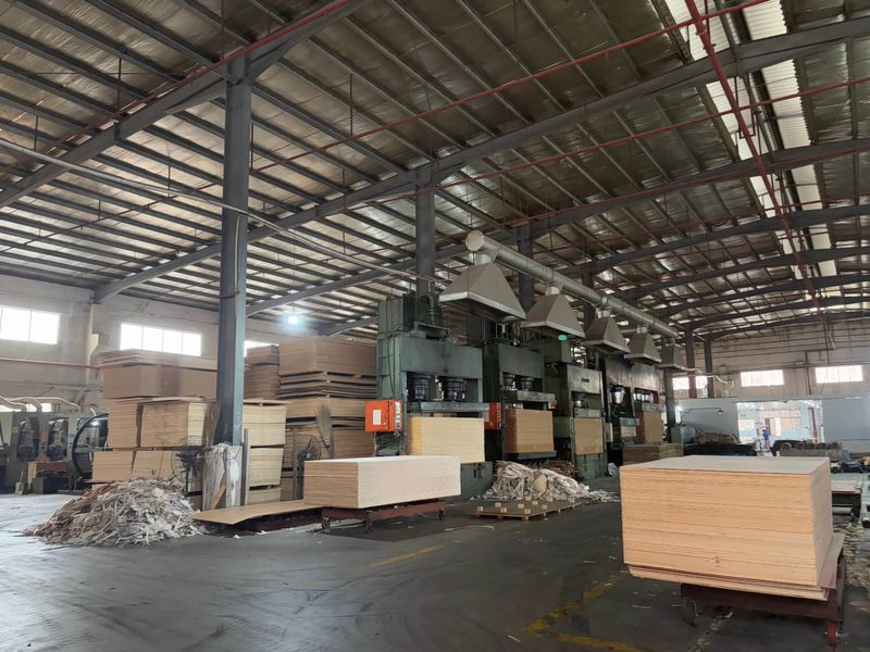 Dongguan Lingfeng Wood Industry Co., Ltd. linia produkcyjna producenta