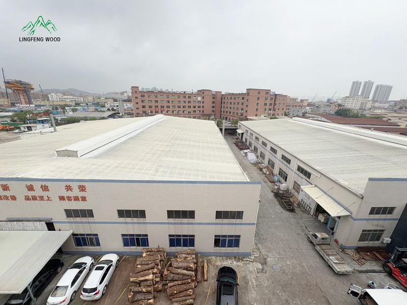 Dongguan Lingfeng Wood Industry Co., Ltd. linia produkcyjna producenta