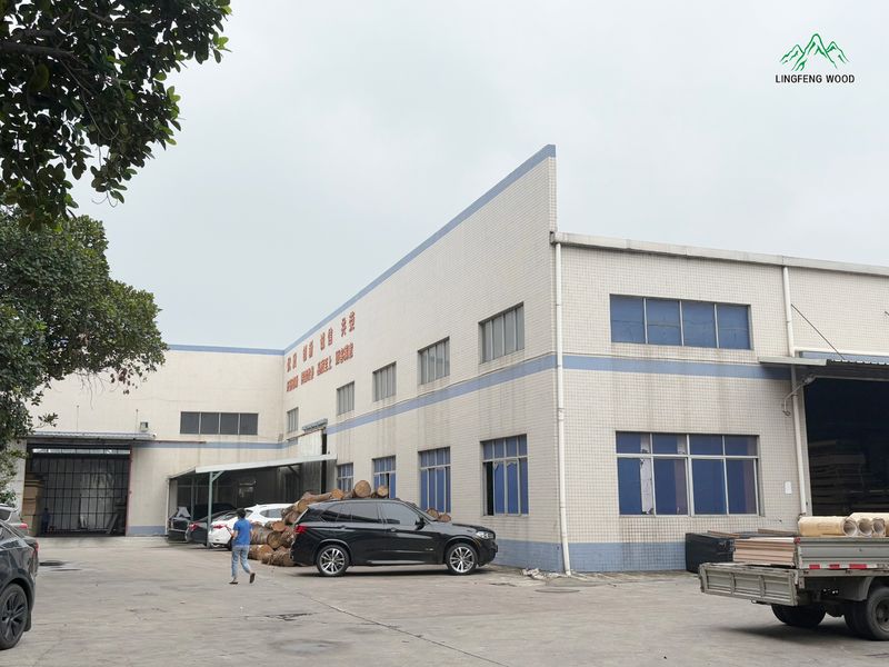 Dongguan Lingfeng Wood Industry Co., Ltd. linia produkcyjna producenta
